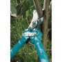 Snoeien met de Gardena Comfort takkenschaar